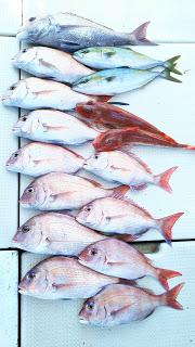 釣り舟　海竜 釣果