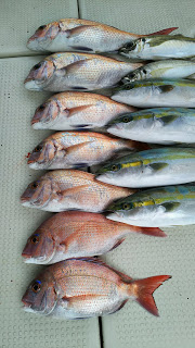 釣り舟　海竜 釣果