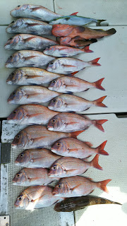 釣り舟　海竜 釣果