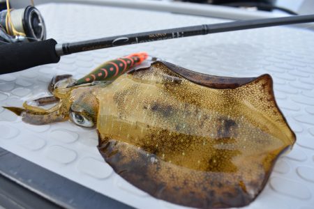 Fisherman Dreams DI 釣果