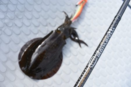 Fisherman Dreams DI 釣果