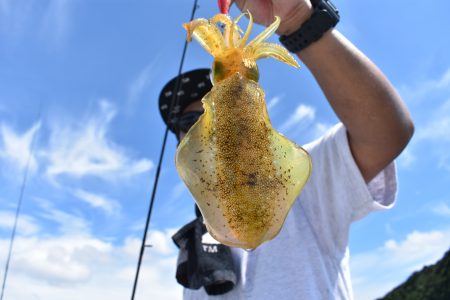 Fisherman Dreams DI 釣果