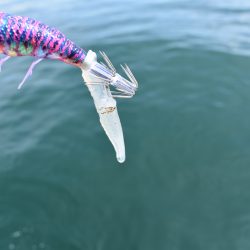 Fisherman Dreams DI 釣果