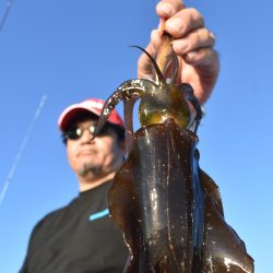 Fisherman Dreams DI 釣果