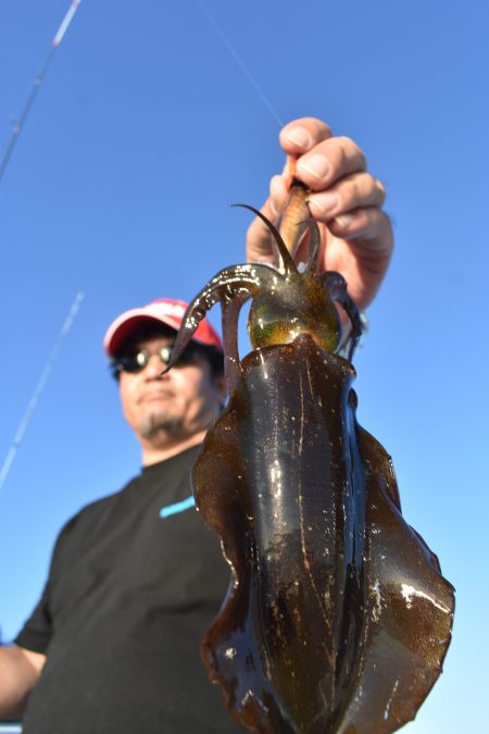 Fisherman Dreams DI 釣果