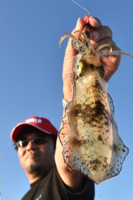 Fisherman Dreams DI 釣果