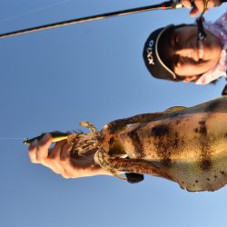 Fisherman Dreams DI 釣果