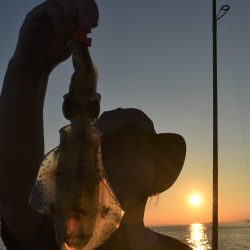 Fisherman Dreams DI 釣果