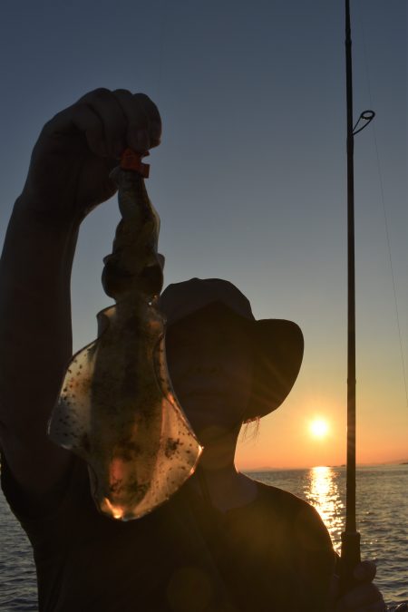 Fisherman Dreams DI 釣果