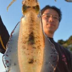 Fisherman Dreams DI 釣果