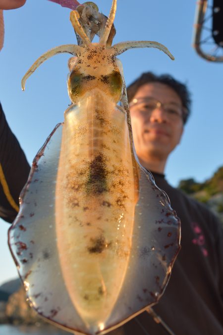 Fisherman Dreams DI 釣果