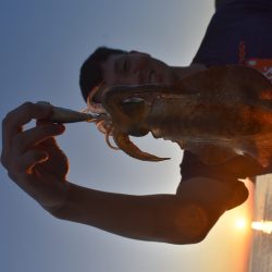 Fisherman Dreams DI 釣果