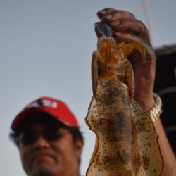 Fisherman Dreams DI 釣果