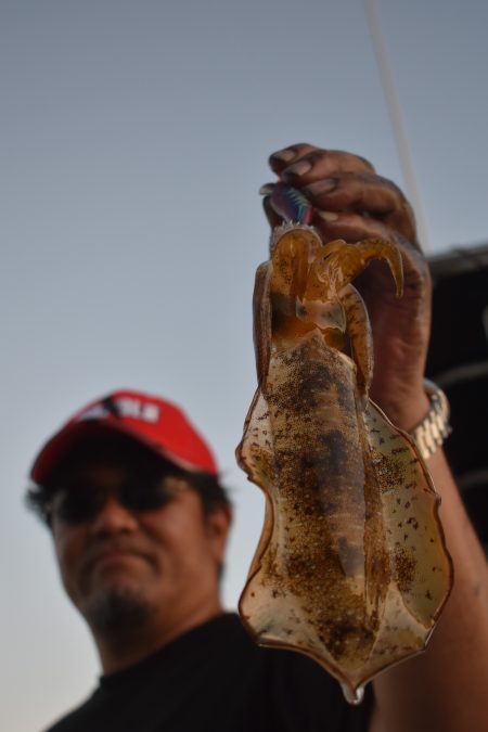 Fisherman Dreams DI 釣果