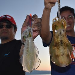 Fisherman Dreams DI 釣果