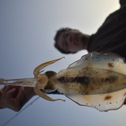 Fisherman Dreams DI 釣果