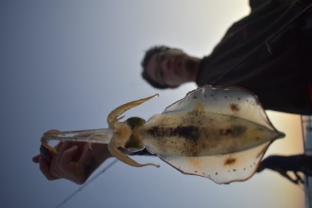 Fisherman Dreams DI 釣果