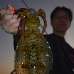 Fisherman Dreams DI 釣果