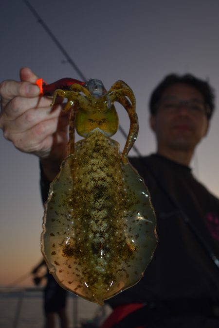 Fisherman Dreams DI 釣果