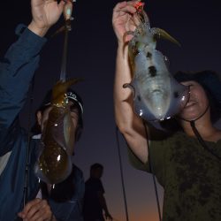 Fisherman Dreams DI 釣果