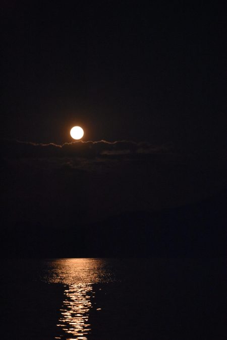 Fisherman Dreams DI 釣果