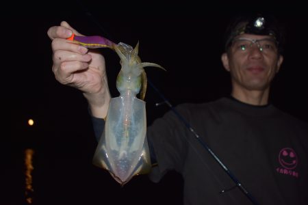 Fisherman Dreams DI 釣果