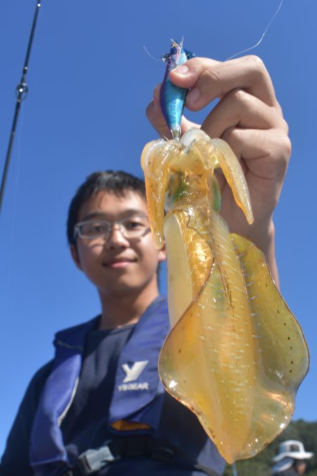 Fisherman Dreams DI 釣…