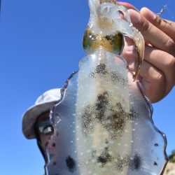 Fisherman Dreams DI 釣果