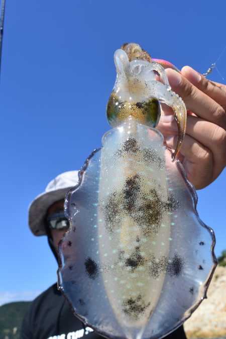 Fisherman Dreams DI 釣果