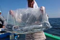 KONAYAーMARU(こなや丸) 釣果