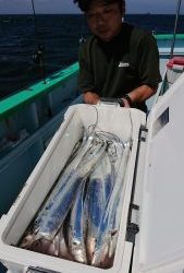 KONAYAーMARU(こなや丸) 釣果