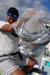 KONAYAーMARU(こなや丸) 釣果