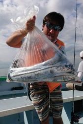 KONAYAーMARU(こなや丸) 釣果