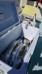 KONAYAーMARU(こなや丸) 釣果