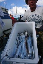 KONAYAーMARU(こなや丸) 釣果