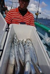 KONAYAーMARU(こなや丸) 釣果