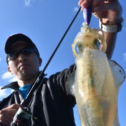 Fisherman Dreams DI 釣果