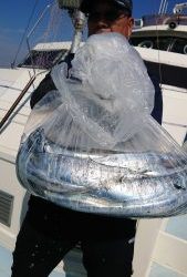 KONAYAーMARU(こなや丸) 釣果