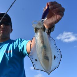 Fisherman Dreams DI 釣果