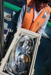 KONAYAーMARU(こなや丸) 釣果