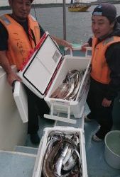 KONAYAーMARU(こなや丸) 釣果