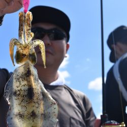 Fisherman Dreams DI 釣果