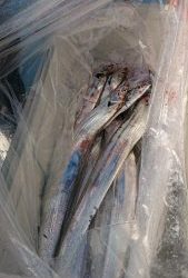 ＫＯＮＡＹＡｰＭＡＲＵ（こなや丸） 釣果