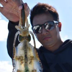 Fisherman Dreams DI 釣果