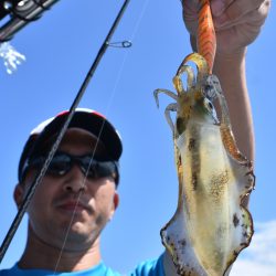 Fisherman Dreams DI 釣果