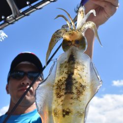 Fisherman Dreams DI 釣果