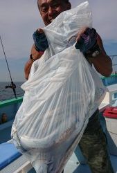 KONAYAーMARU(こなや丸) 釣果