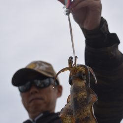 Fisherman Dreams DI 釣果