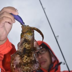 Fisherman Dreams DI 釣果