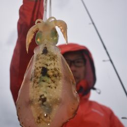 Fisherman Dreams DI 釣果